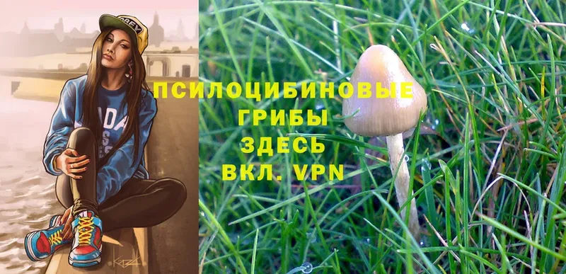 Псилоцибиновые грибы Magic Shrooms  что такое наркотик  Бронницы 